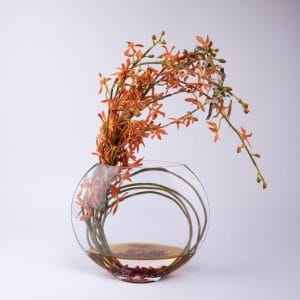 Immortalis Botanicals. Glass Vase with Orange Blossoms. Large Size