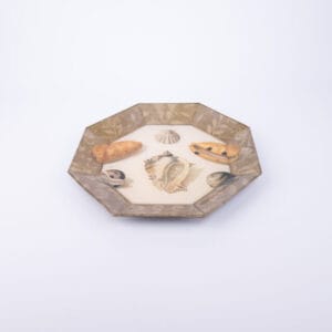 Idée Art Exclusive. Glass Decorative Plate with Seashell Illustration. Medium Size