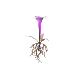 Idée Art Exclusive. Murano Glass Vase with Bronze Base in The Shape of a Flower with Roots. Large Size