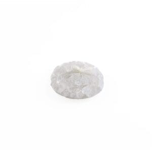 Bard Int. Reusable Silicone Ice Cubes. Small Size
