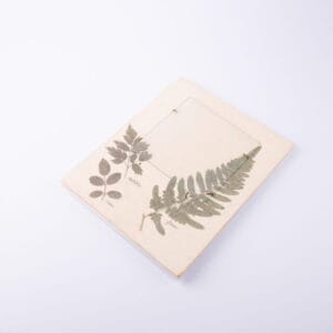 Idée Art Exclusive. Decorative Plate with Botanical Design. Large Size